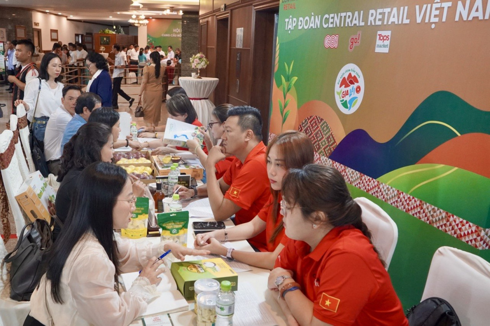 2 Đông đảo Doanh nghiệp, Hợp tác xã của tỉnh Gia Lai tham gia kết nối với Hệ thống siêu thị GO!
